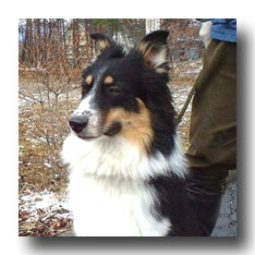 �����x�P������