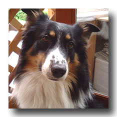 �R������