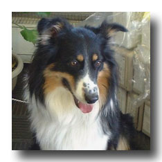 �P�P������